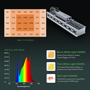 Full Spectrum 320W Led Grow Light For Greenhouse Grow