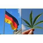 Germany Speeds Up The Process To Legalize Recreational Cannabis