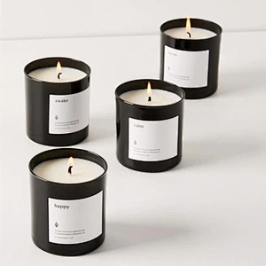 Chinese factory heat resistant glass jar for Scented Candle  candle holders with wooden cork lid