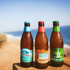 2021 Wholesale Custom Color Size Hot Stamping Amber Glass Beer Bottle