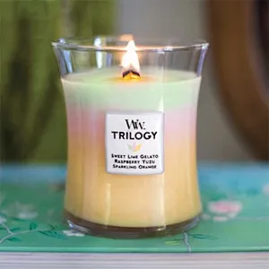 Cheap price for exporting custom borosilicate glass candle jar