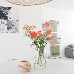 Wholesale European creative glass vase Decorative Colored Clear Glass Flower Vase/Glass Vases for Home Decoration