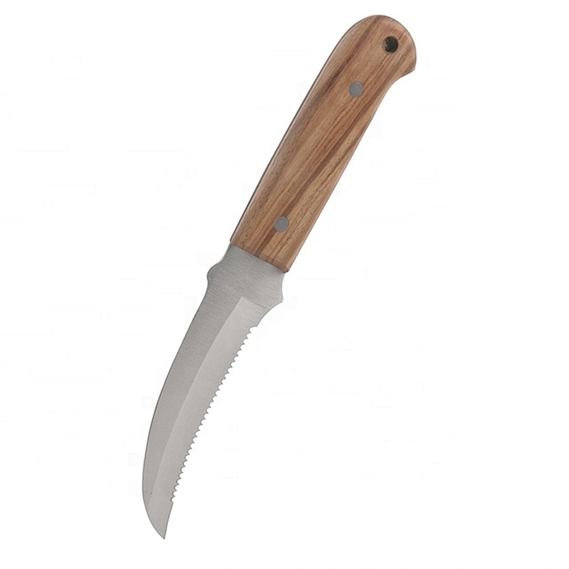 Serrated Blade Stainless Steel Survival Hunting Outdoor Knife with Wooden Handle
