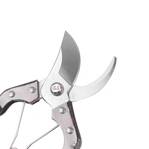 Hot Selling Daily Use Garden Tools Shears Scissors Pruner