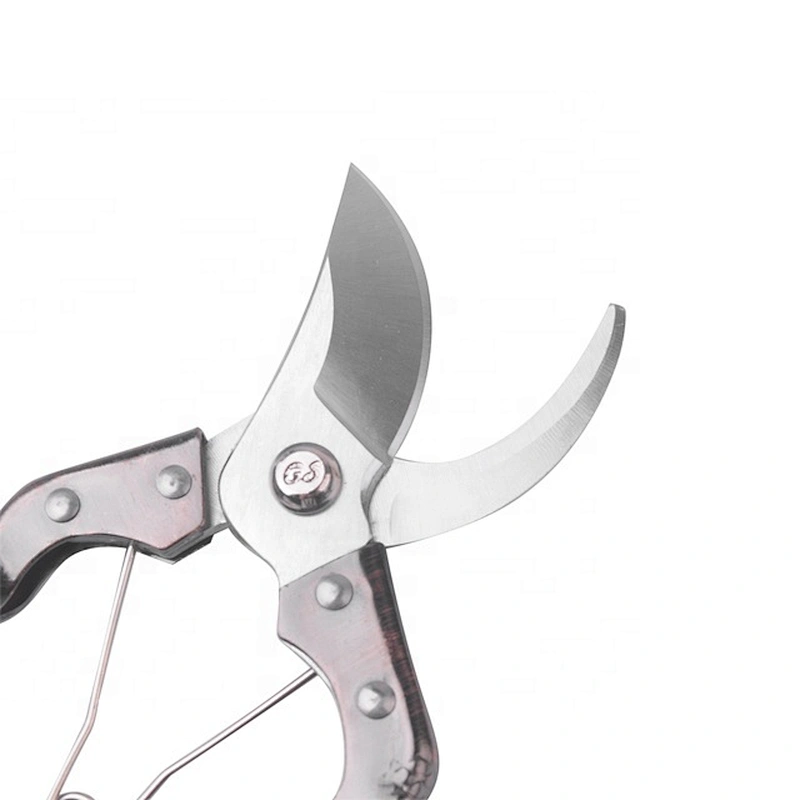 Hot Selling Daily Use Garden Tools Shears Scissors Pruner