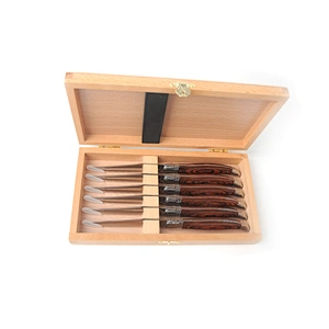Stainless steel  6pcs knife set  with wooden box