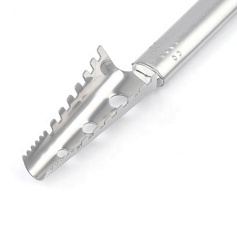New design easy to use hot selling stainless steel scale scraper