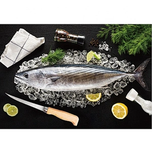 Professional Fish Fillet Knife Stainless Steel Blade Soft Touch Handle with PU sheath for Outdoor