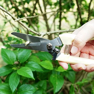 Garden Pruning Shears garden scissors for gardening branch design