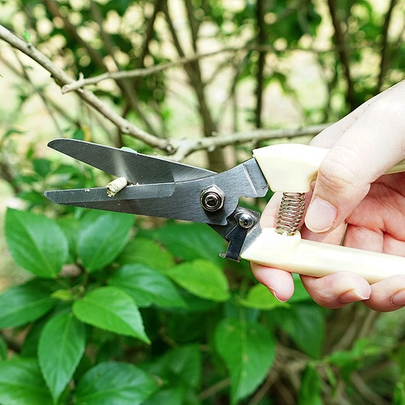 Garden Pruning Shears garden scissors for gardening branch design