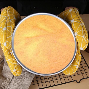 Hot sales Professional Round Cake Pan Bakeware Baking Tray Set