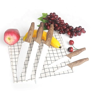 5pcs Stainless Steel fruit bread High Quality Sharp kitchen knife set with PP handle