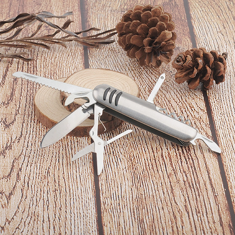 Mini Style 10 In 1 Multi Purpose  Stainless Steel Blade Folding Pocket Survival Knife Tools