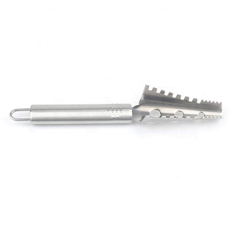 New design easy to use hot selling stainless steel scale scraper