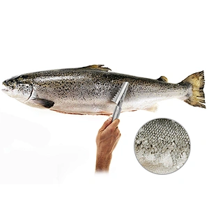 Kitchen Fish Scale Scraper Remover Cleaner Metal Scraping Fish Scale Scraper