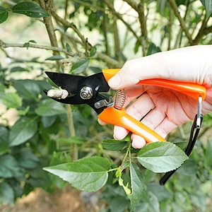 Different Black Head Function Garden Pruning Shears garden Branch cutting scissors