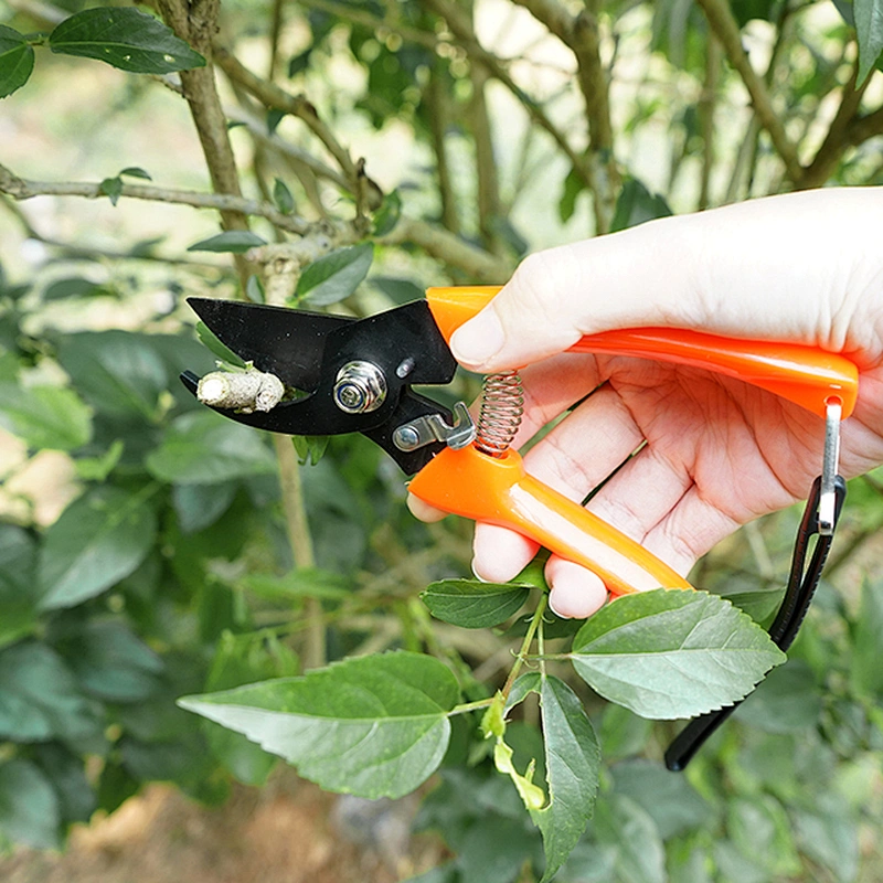 Different Black Head Function Garden Pruning Shears garden Branch cutting scissors