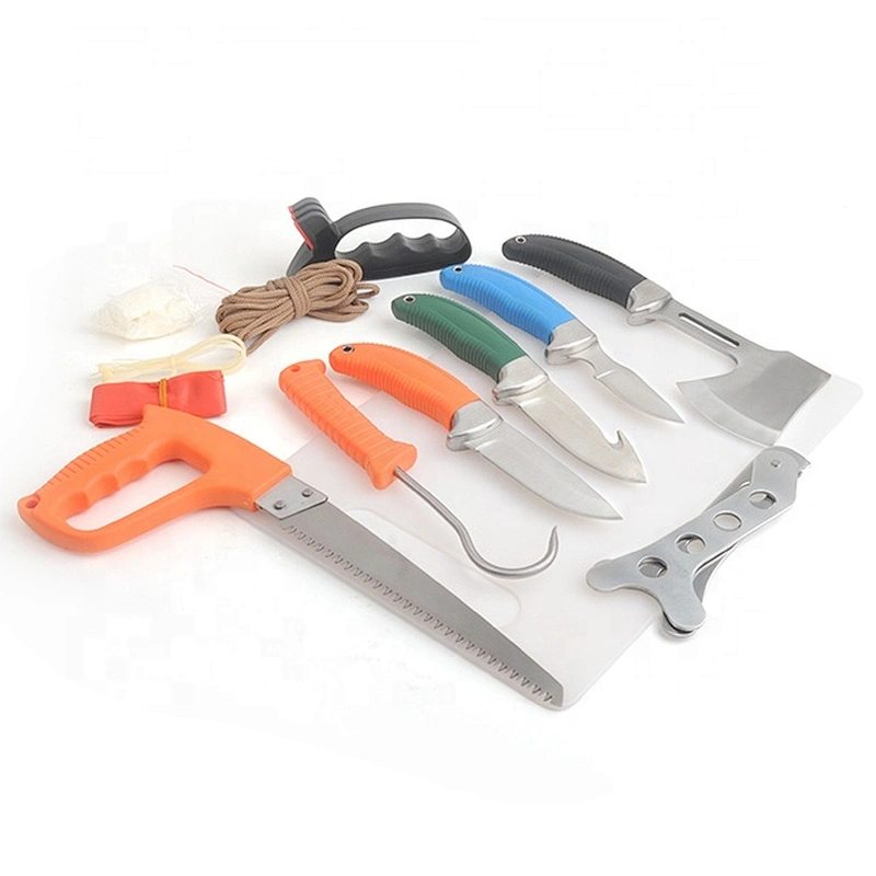 Hot selling 10PC set of tools in the field
