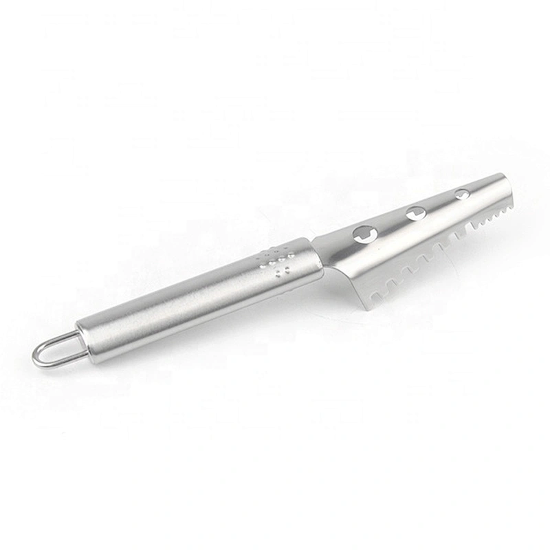 New design easy to use hot selling stainless steel scale scraper