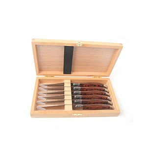 Stainless steel  6pcs knife set  with wooden box