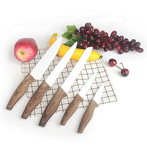 5pcs Stainless Steel fruit bread High Quality Sharp kitchen knife set with PP handle