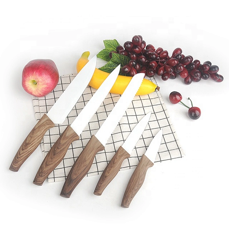 5pcs Stainless Steel fruit bread High Quality Sharp kitchen knife set with PP handle