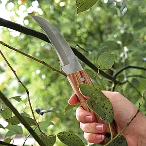 Serrated Blade Stainless Steel Survival Hunting Outdoor Knife with Wooden Handle