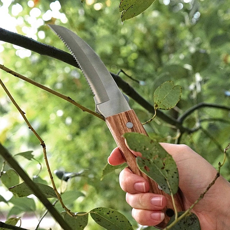 Serrated Blade Stainless Steel Survival Hunting Outdoor Knife with Wooden Handle