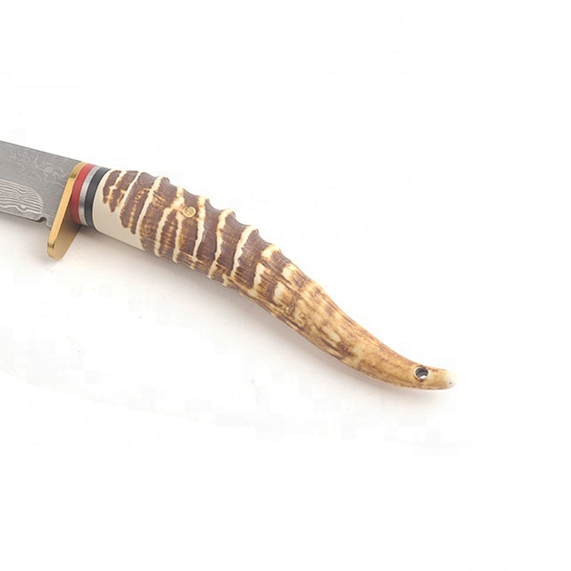 Hot sale color wood handle fixed blade survival hunting Knife