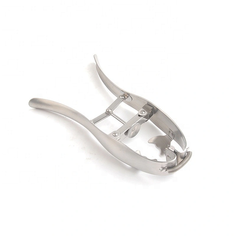 Amazon new type stainless steel kitchen gadgets egg tools egg opener eggshell cutter cracker