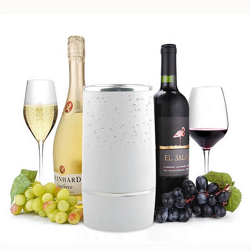 Plastic champagne bucket with double wall