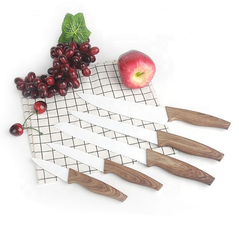 5pcs Stainless Steel fruit bread High Quality Sharp kitchen knife set with PP handle