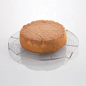 Round Shape 12