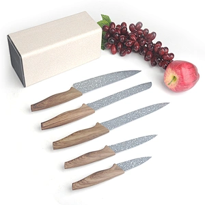 High Quality Embossing Kitchen 5 PCS Non-stick Coating Stainless Steel Knife Set With Block
