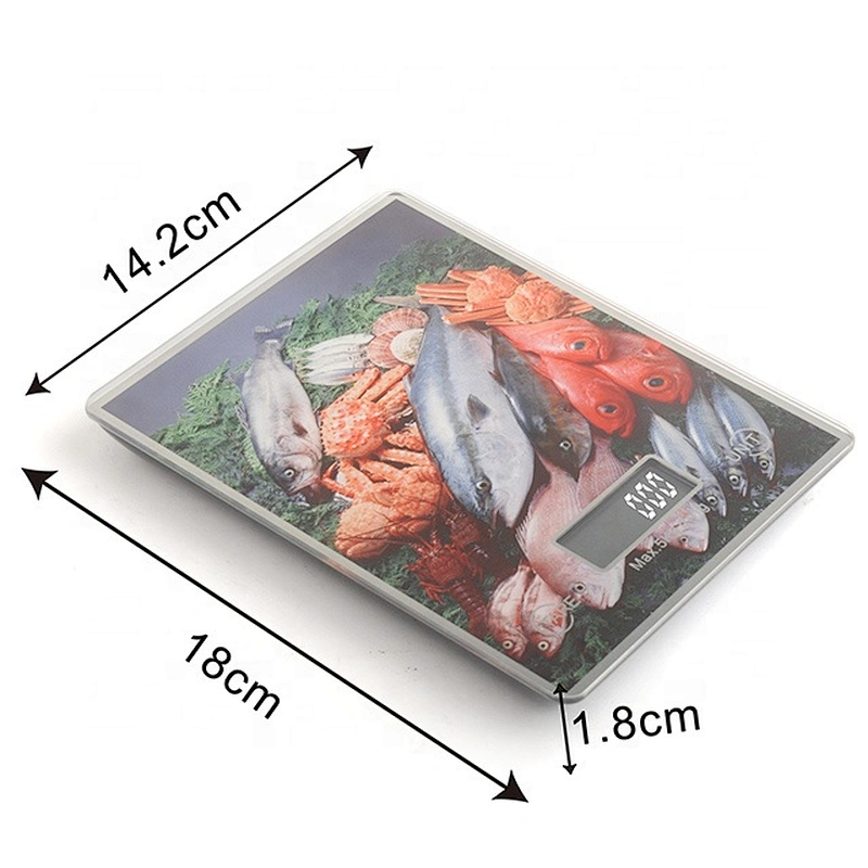 wholesale new design hot selling accurate electronic scale electronic balance for baking