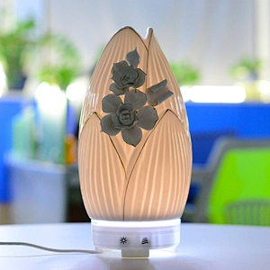 wifi smart alexa app controlled  humidifier fragrance essential oil  diffuser manufacturer