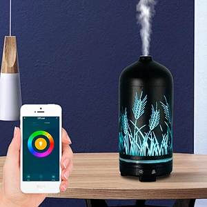 Room Electric Essential Oil Diffuser Ultrasonic Metal Iron Art Air Humidifier With LED Night Light