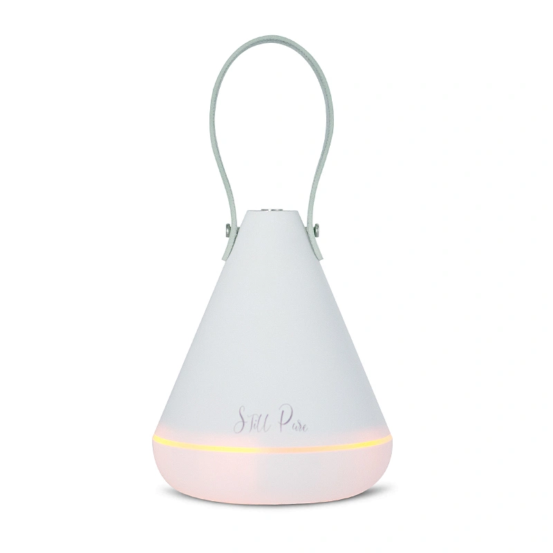 Wholesale new style USB car hanging car fragrance diffuser