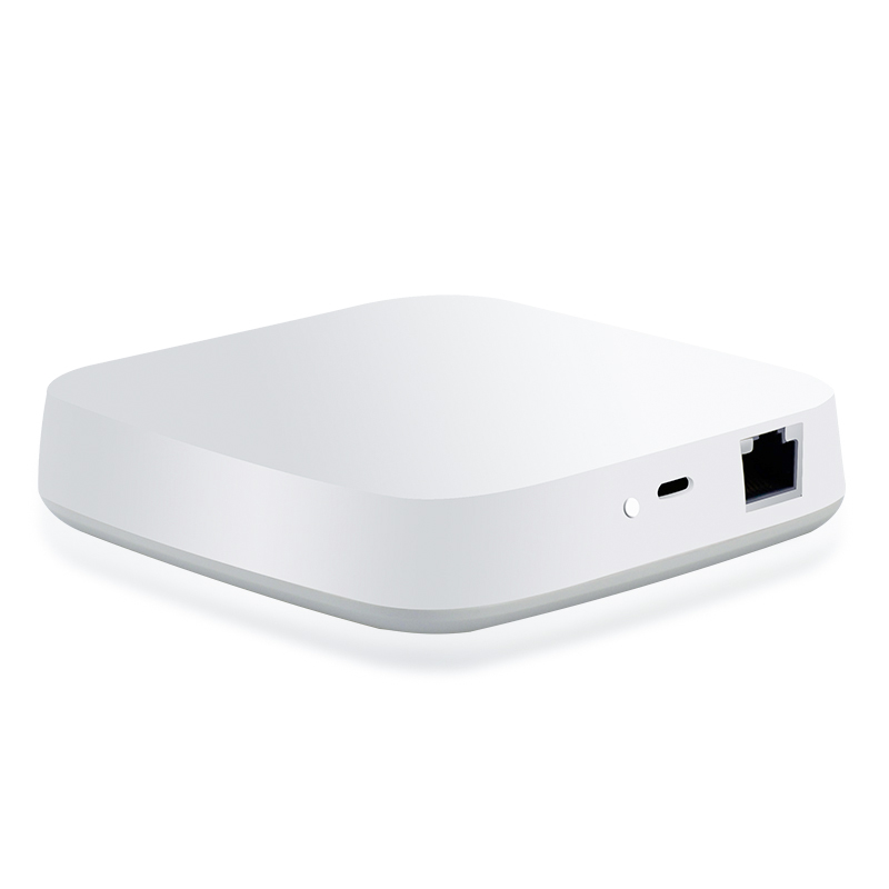 Professional Manufacturer ble iot wifi gateway