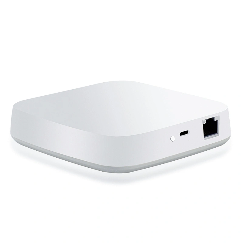 Professional Manufacturer ble iot wifi gateway