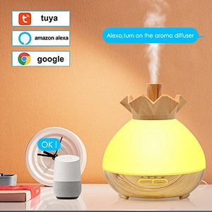 2022 Humidifier smart aroma diffusers Oil Diffuser