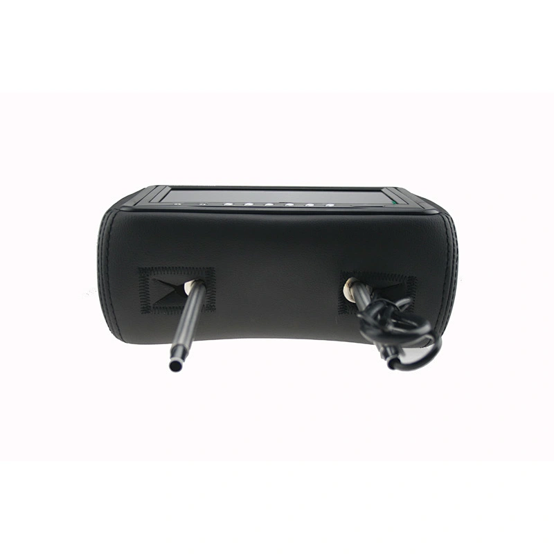 HR9169C TFT LCD High quality 9inch auto dvd monitor with zipper
