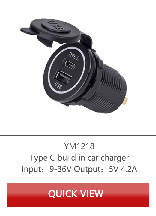 voltmètre à montage sur panneau, USB type C montage sur panneau, 24 voltmètre, DAMAVO producer