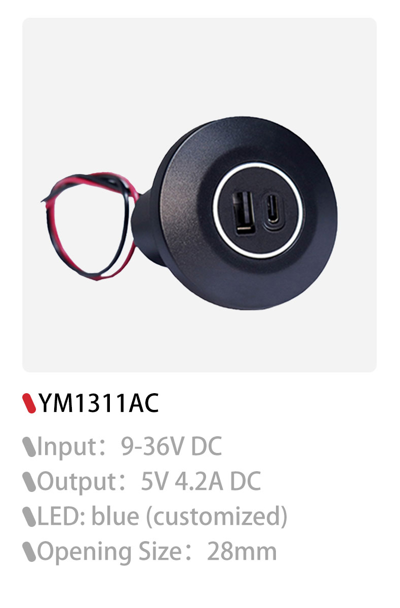 DAMAVO automotive usb charging port,usb socket for car,usb charing port for car Design