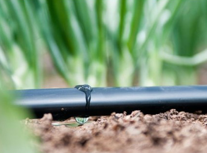drip line with dripping cylinder
