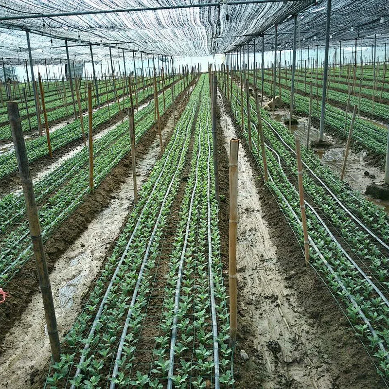 Wholesalers in china agriculture plastic irrigation system drip tape irrigacion