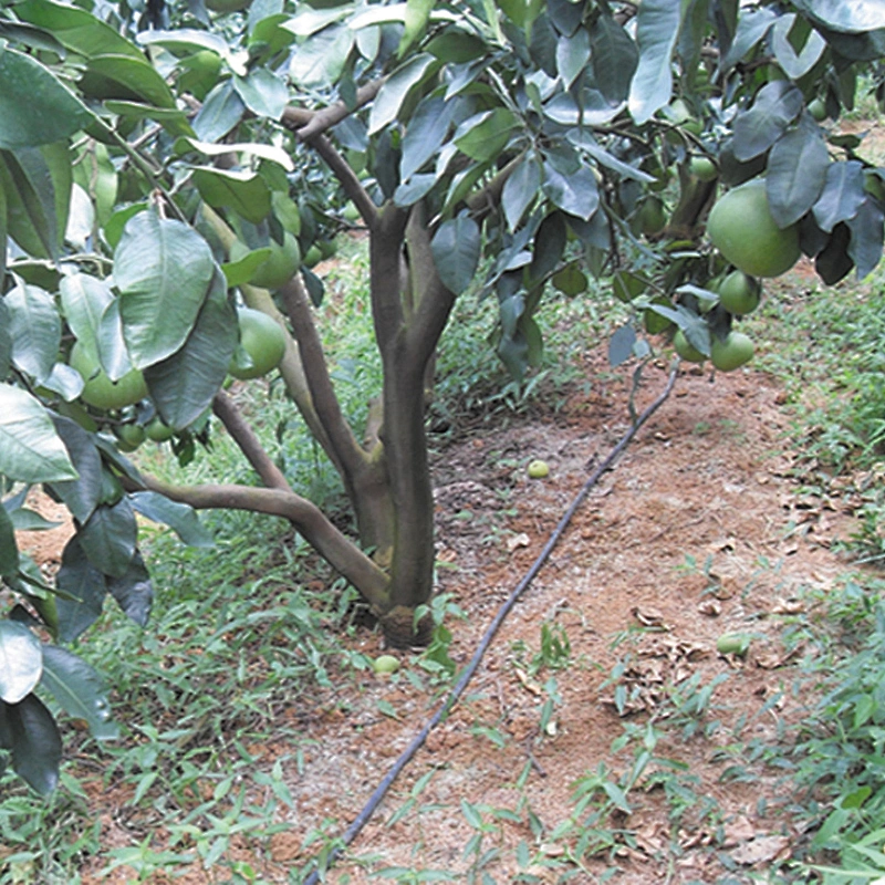 Sustainable products common insert type 16mm drip irrigation pipe for agriculture use