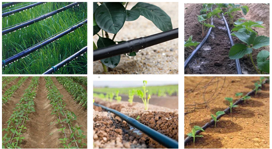pe drip irrigation hose