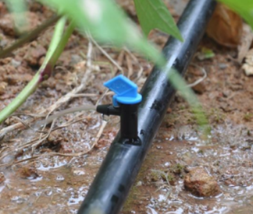 greenhouse drip irrigation system
