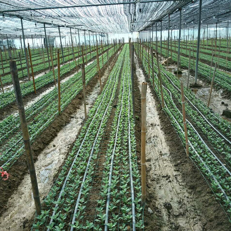 drip lines 0.4mm